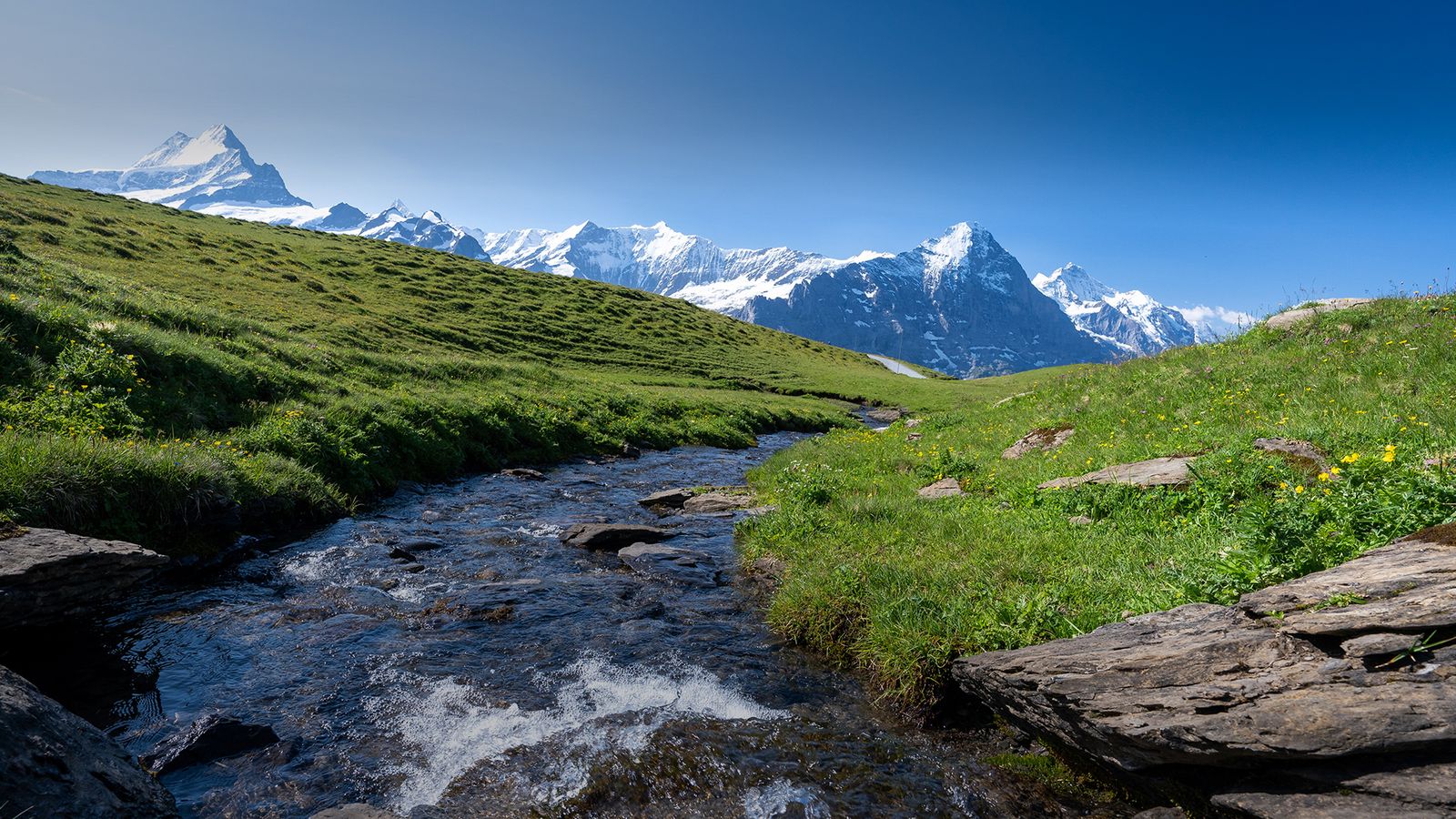 Ein klarer Bergbach fließt über felsigen Untergrund und bildet kleine Stromschnellen. Die Ufer sind von grünem Gras bedeckt, im Hintergrund erheben sich schroffe, schneebedeckte Berggipfel unter einem leuchtend blauen Himmel.